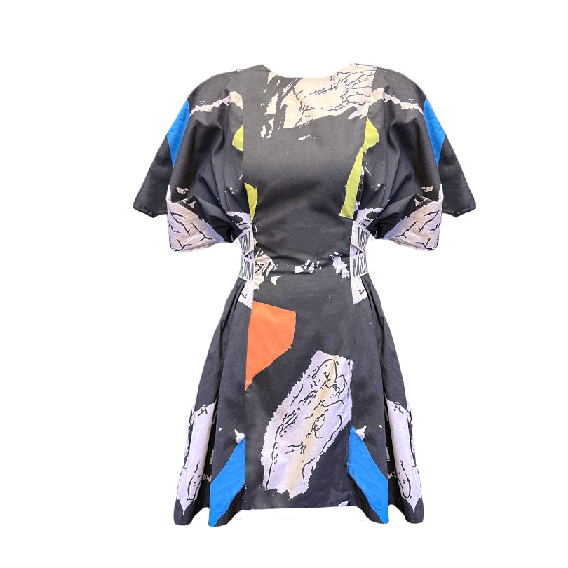 Printed Flare Panel Dress (ML57 Print)