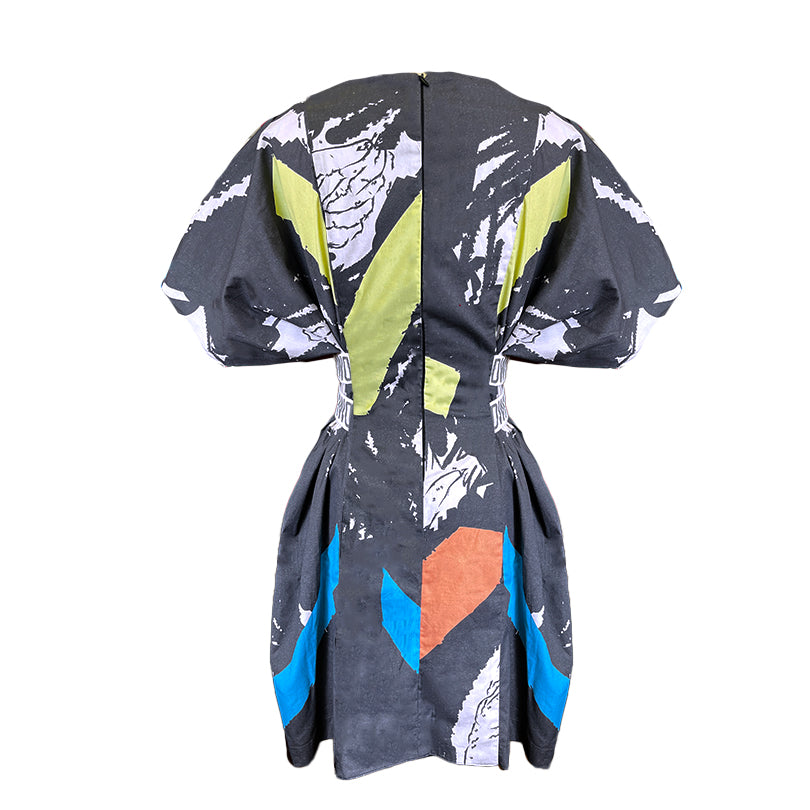 Printed Flare Panel Dress (ML57 Print)