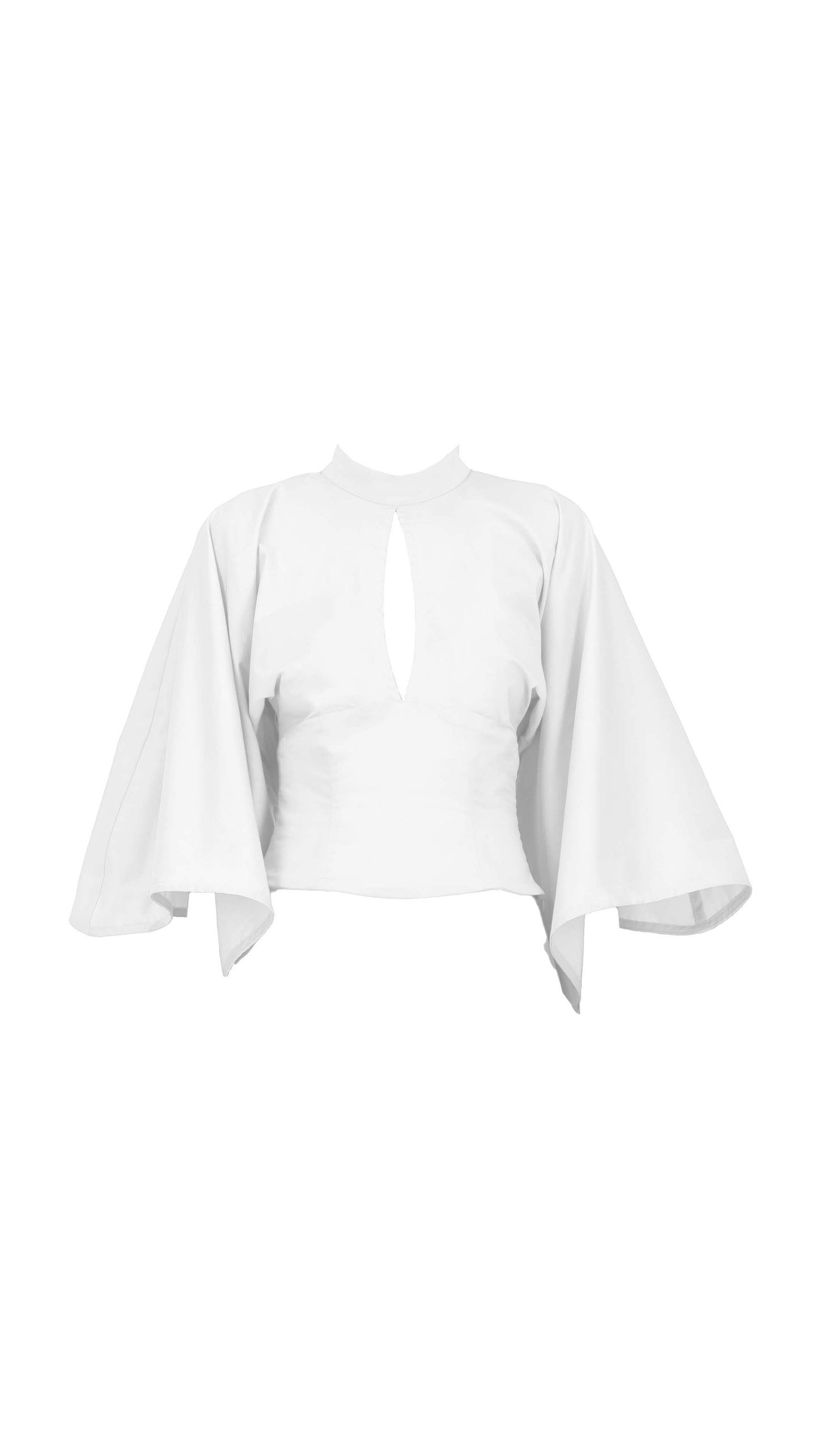 Flutter Top (ML89)